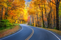 take a scenic drive in pigeon forge for thanksgiving