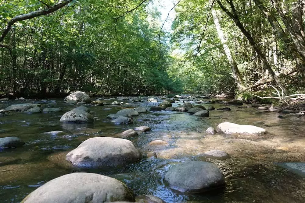mountain stream