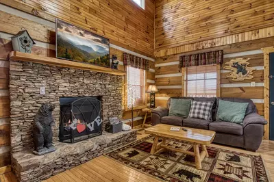 ER18 - Cozy Bear View 7