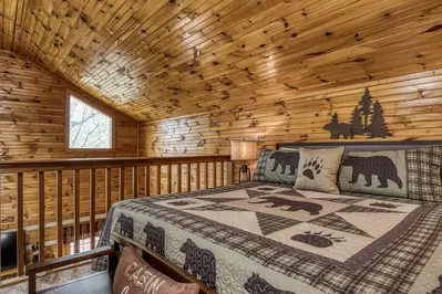 ER18 - Cozy Bear View 14