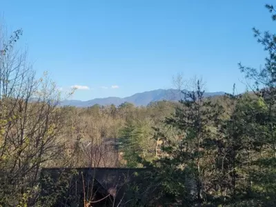 ER18 - Cozy Bear View 25