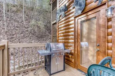 ER316 - Black Bear Hideaway 31