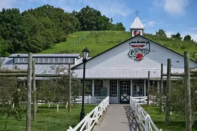 The Apple Barn Creamery with apple orchard in background