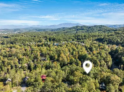 ER299 - Possum Hollow 39