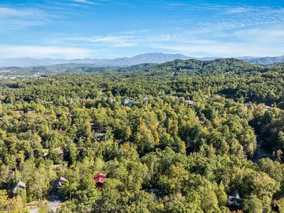 ER299 - Possum Hollow 41