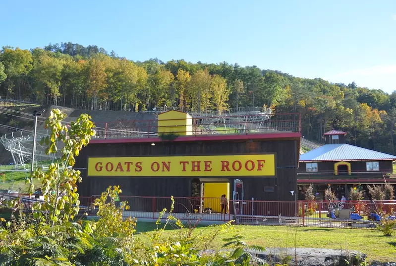 Goats on the Roof attraction in Pigeon Forge