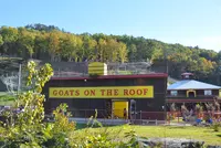 Goats on the Roof attraction in Pigeon Forge