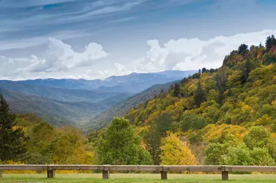 ERN860 - Cozy Bear Overlook 54