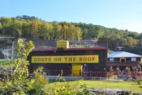 Goats on the Roof - one of the top hidden things to do in Pigeon Forge