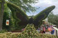 butterfly flower sculpture at Dollywood's Flower & Food Festival