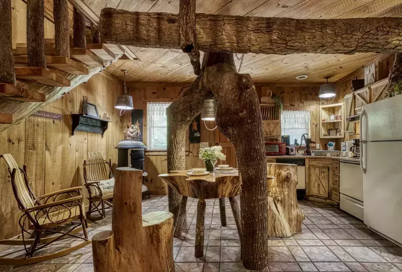 Rachel's Tree House kitchen with tree