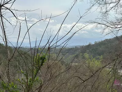 ERN863 - Mountain Top 40