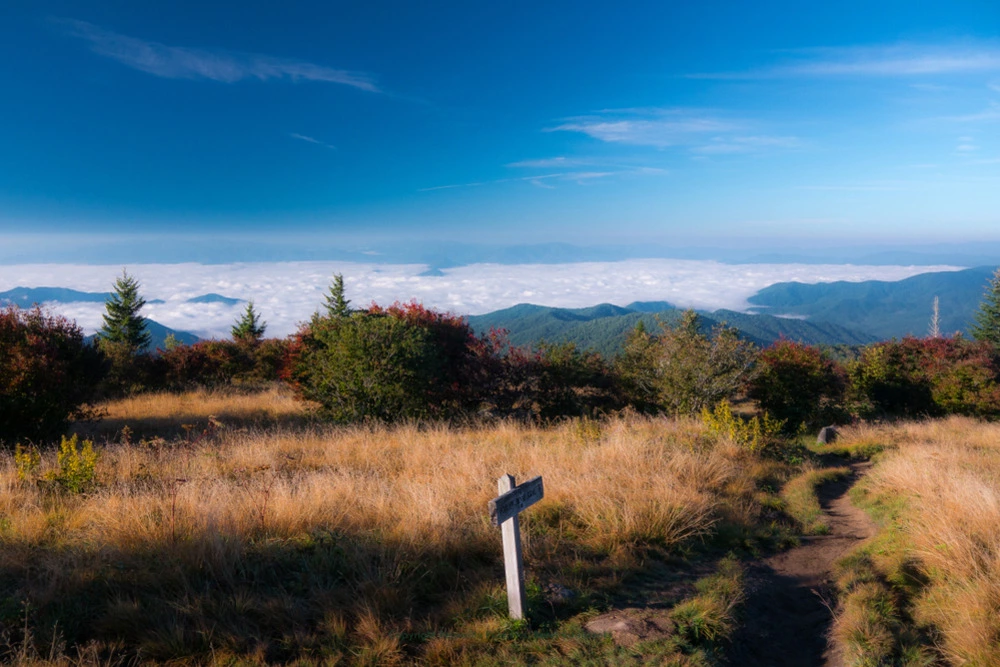 vista at top of Andrews Bald