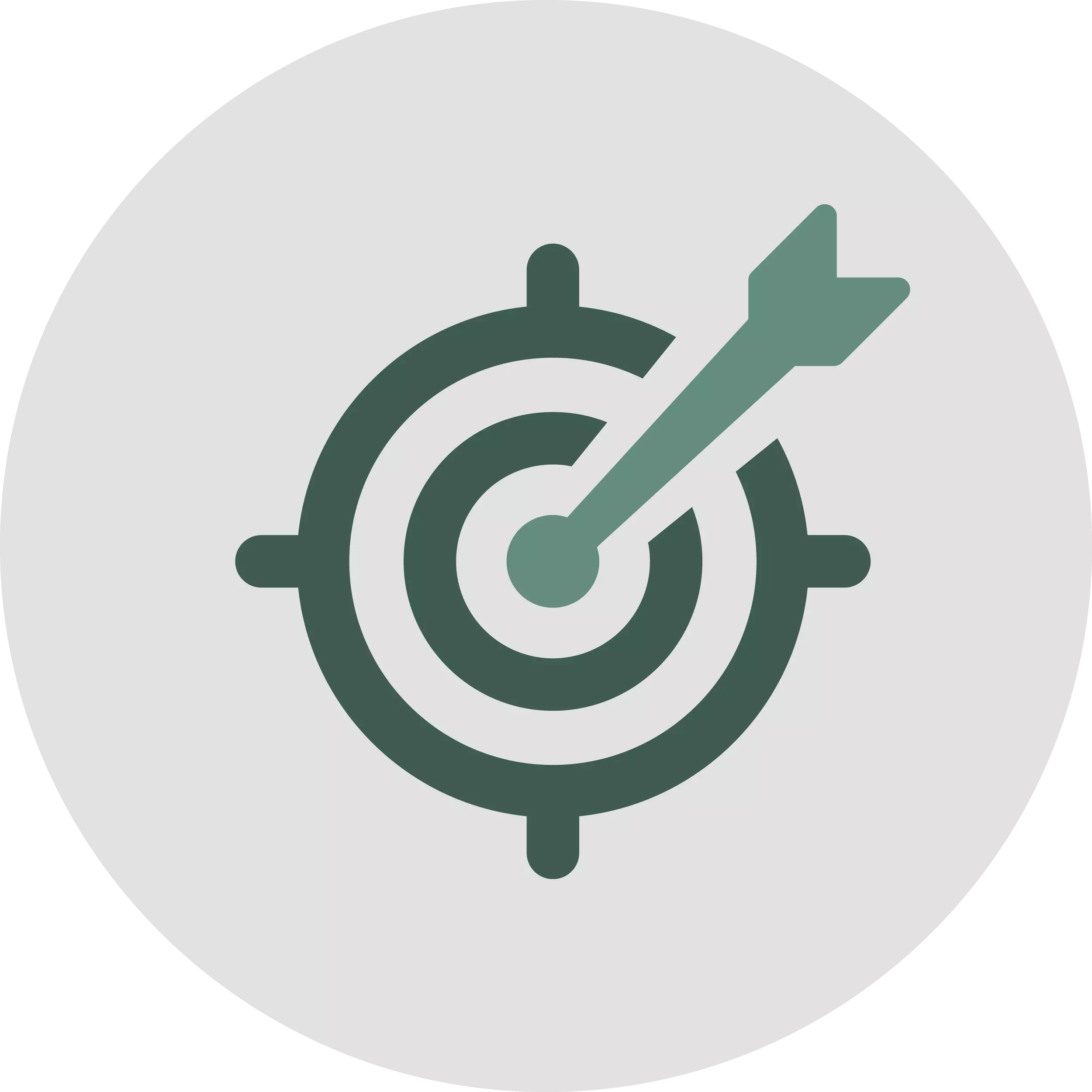 Bullseye icon