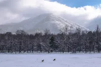 winter in the smoky mountains at cades cove