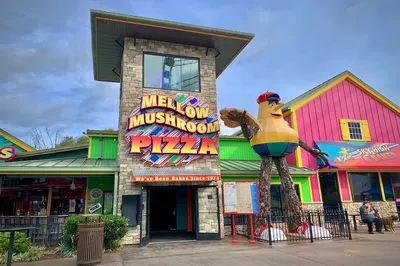 mellow mushroom is one of the top pizza places in pigeon forge
