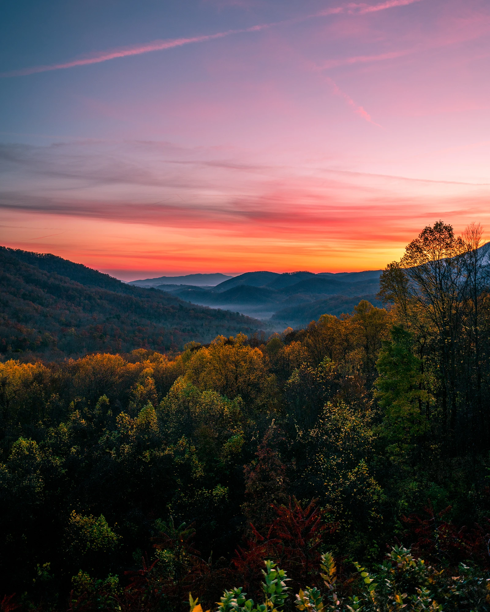 shutterstock_771681601