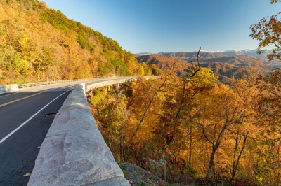 foothills parkway is a must during fall