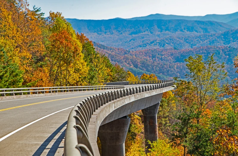 foothills parkway is a must during fall