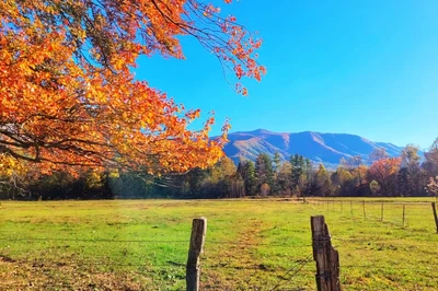 Cades Cove during fall