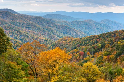 fall foliage in the smoky mountains