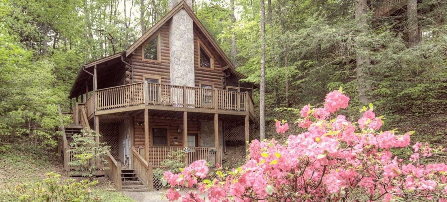 A wonderful Pigeon Forge log cabin with pink flowers growing near the driveway.