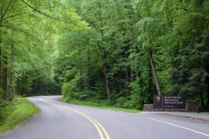 Road leading into the Great Smoky Mountains National Park.
