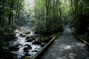 roaring fork motor trail with creek