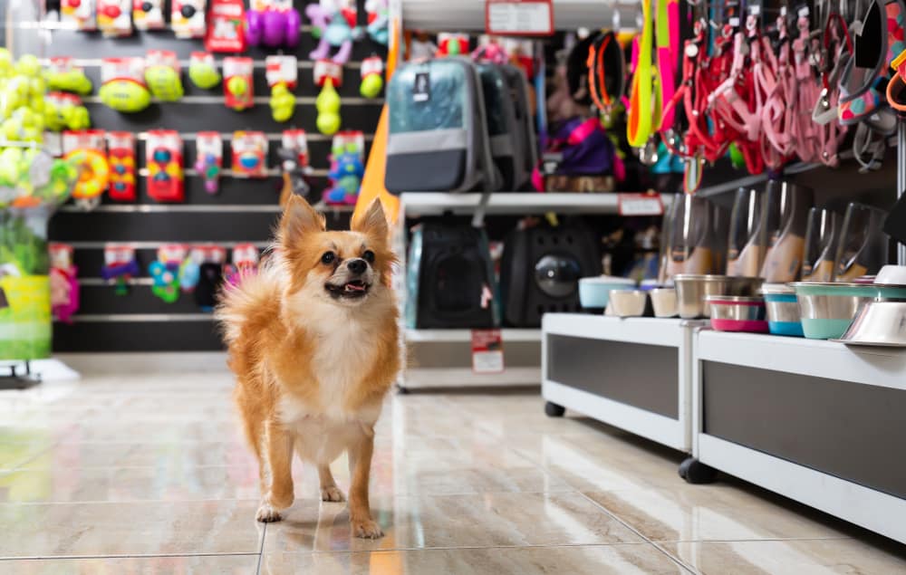 3 Unique Stores in Gatlinburg and Pigeon Forge for Pet Lovers