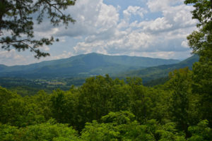 Wears Valley in the Smoky Mountains