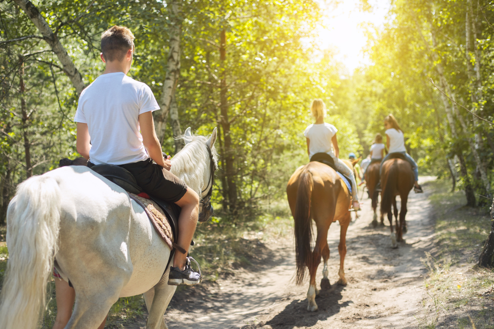 A group on people horseback riding on trail